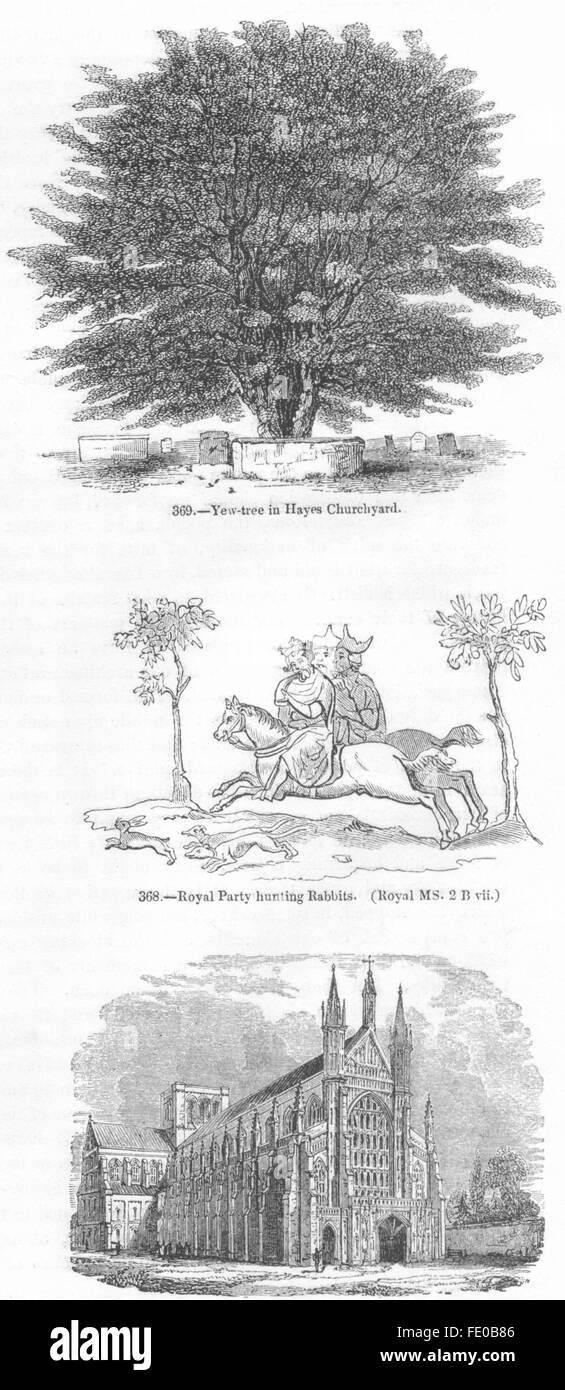 #: Yew-tree, Hayes Church; King hunting; Winchester, antique print 1845 Stock Photo