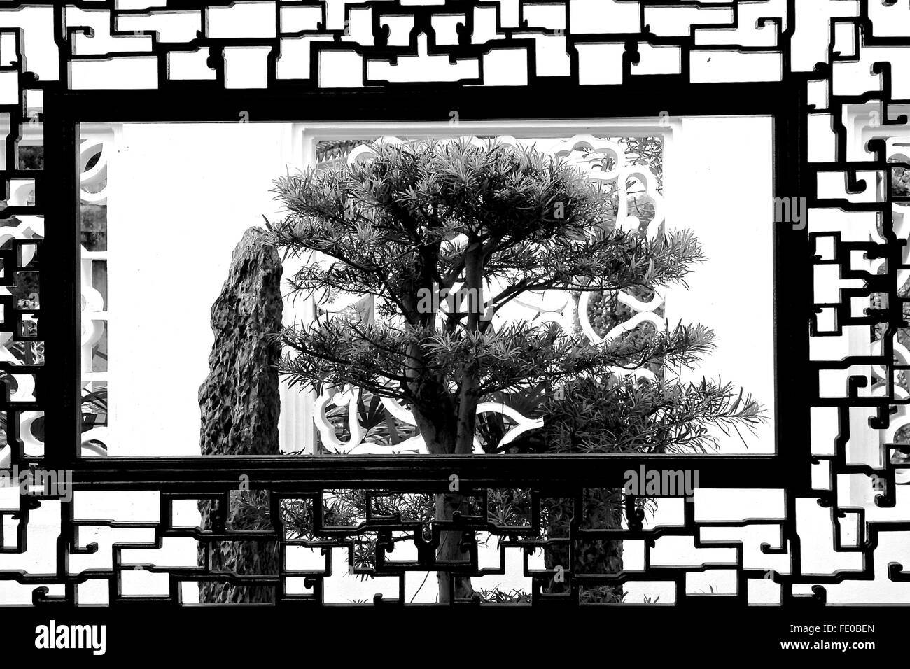 Bonsai tree in a frame Stock Photo Alamy