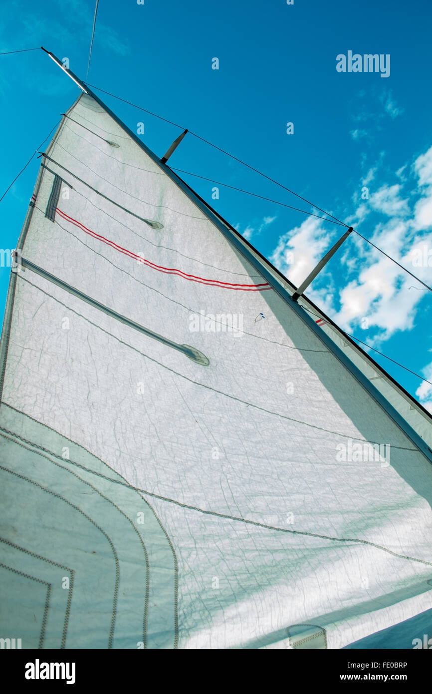 white sail against the sky Stock Photo