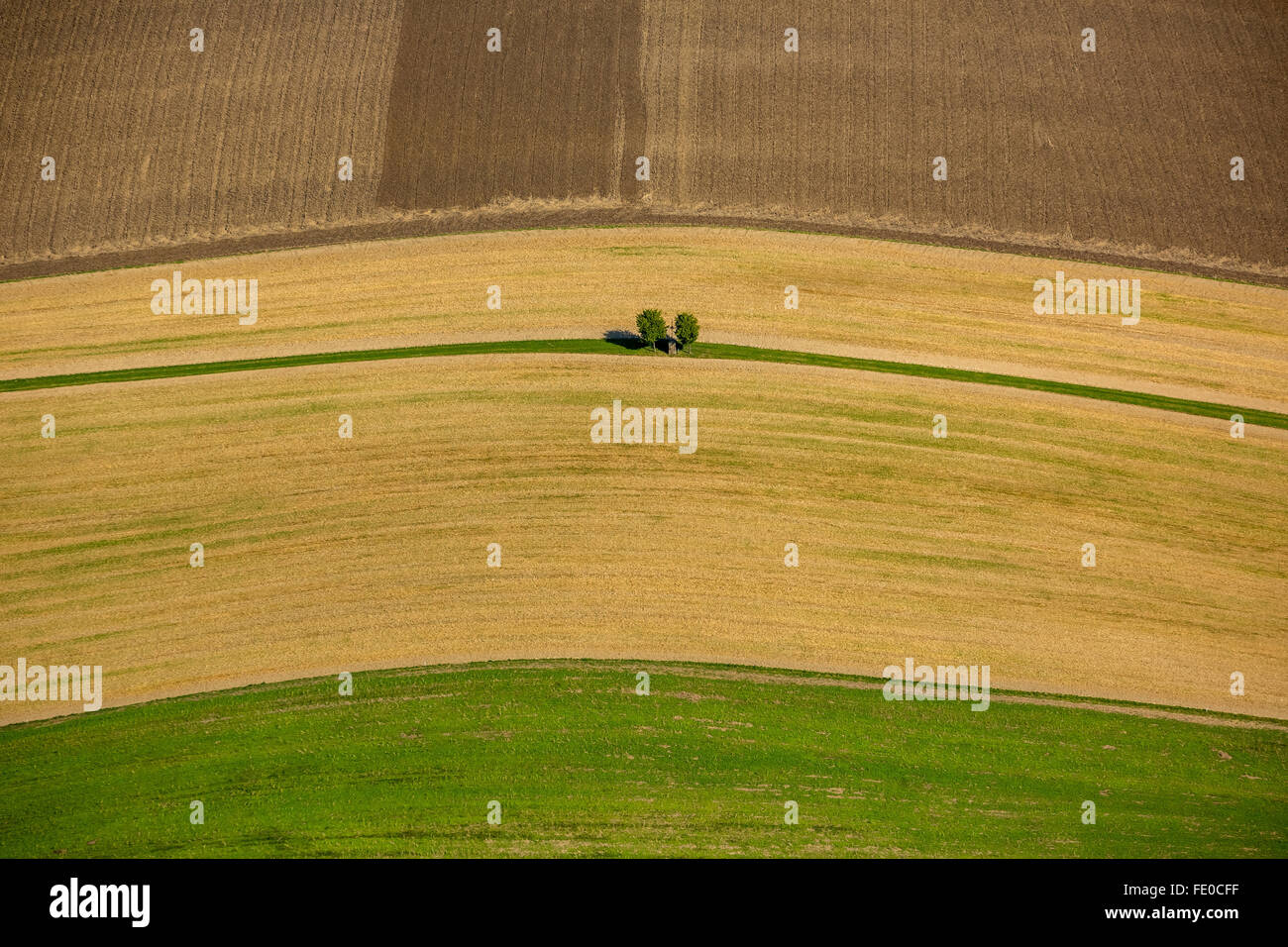 Aerial, agriculture, farming, fields and meadows and forests in the foothills of the Alps in Linz, Rödham, Upper Austria, Stock Photo