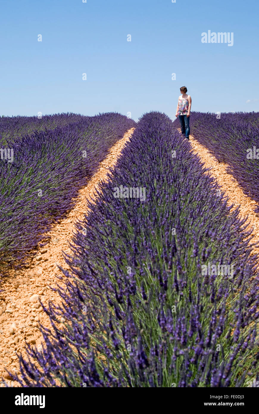 Woman field walking 40 hi-res stock photography and images - Alamy
