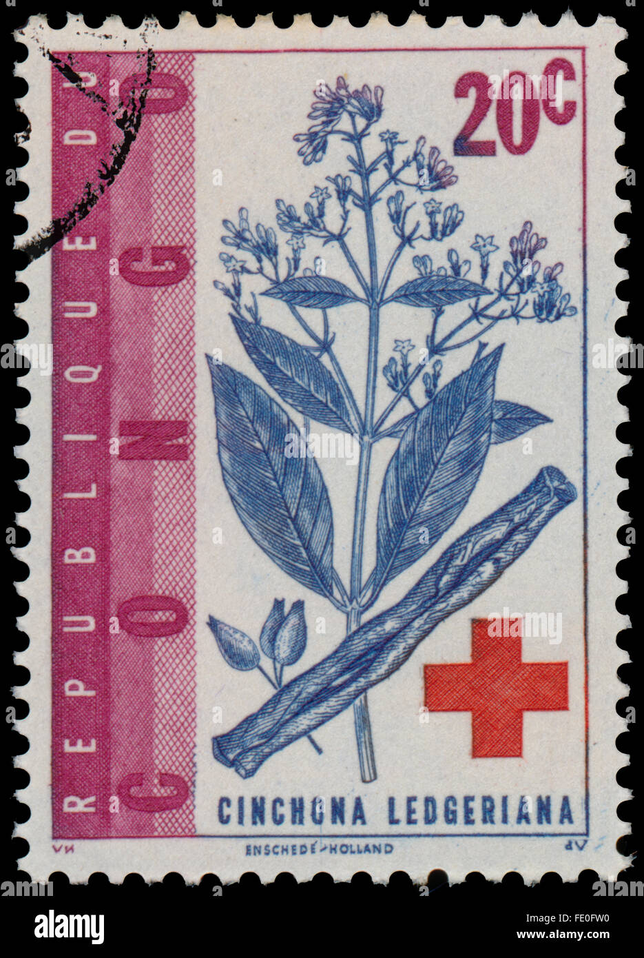CONGO - CIRCA 1963: a stamp printed in Congo shows Cinchona ledgeriana and red cross Stock Photo