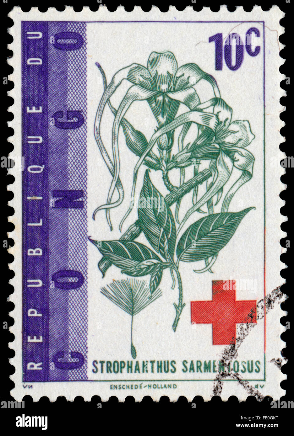 CONGO - CIRCA 1963: a stamp printed in Congo shows Strophanthus sarmentosus and red cross Stock Photo