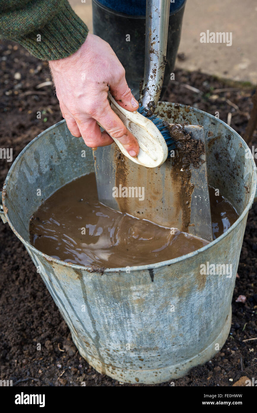 Gardener with a bucket of water cleaning soil of a garden spade. UK Stock Photo Alamy