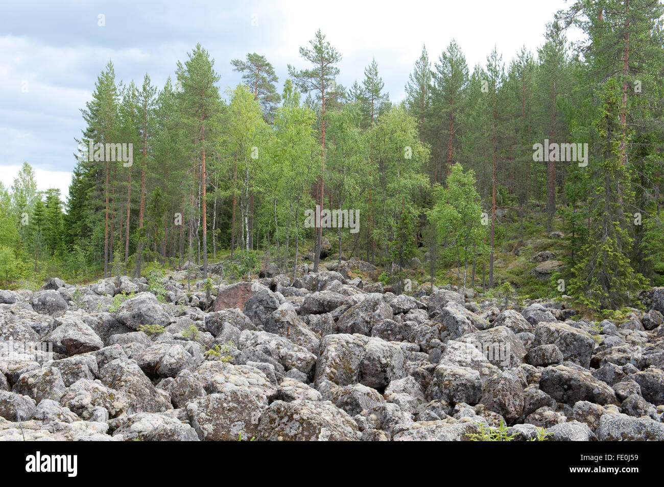 Ancient Glacial Geological Landslide, Finland Stock Photo