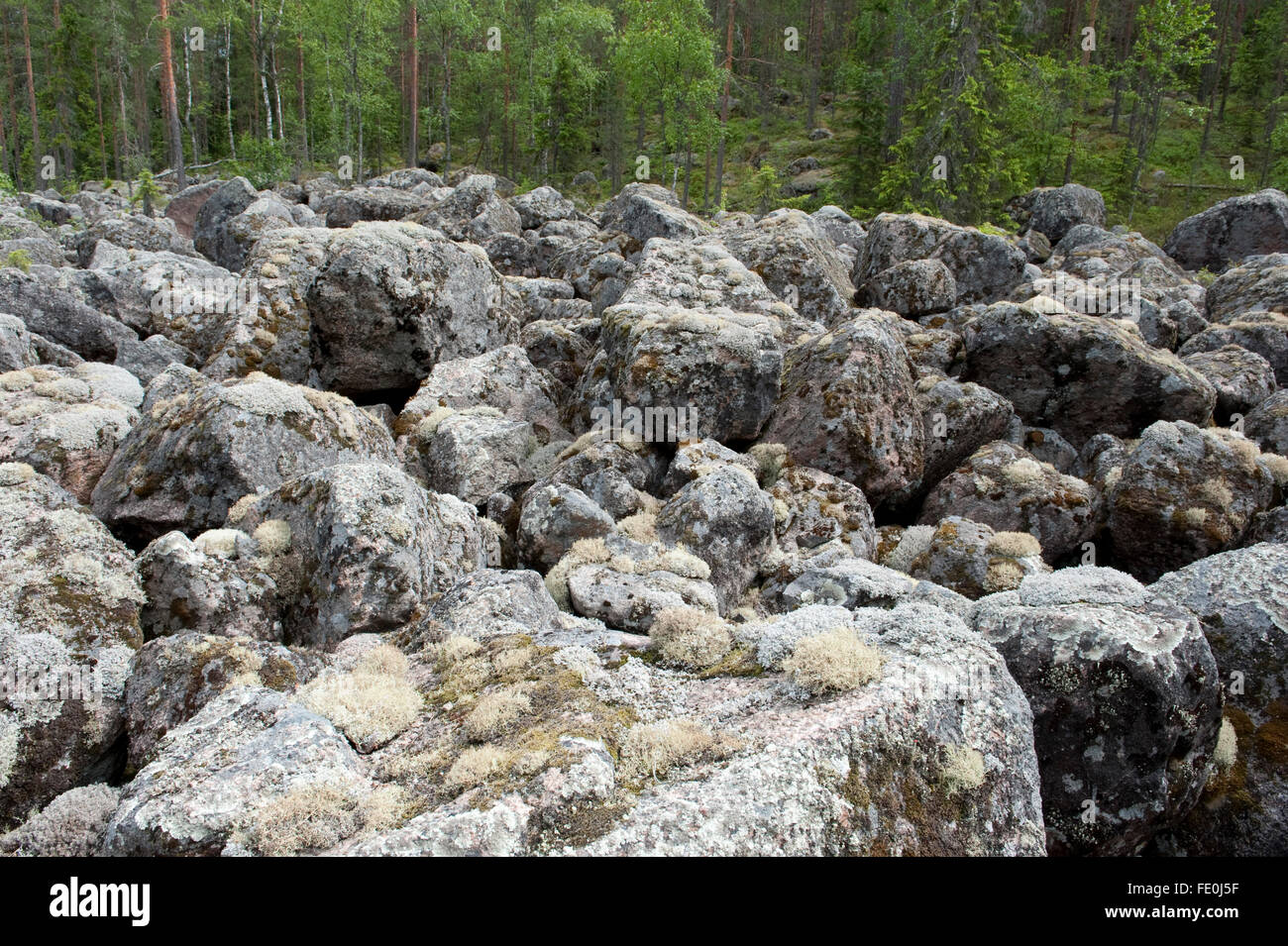 Ancient Glacial Geological Landslide, Finland Stock Photo