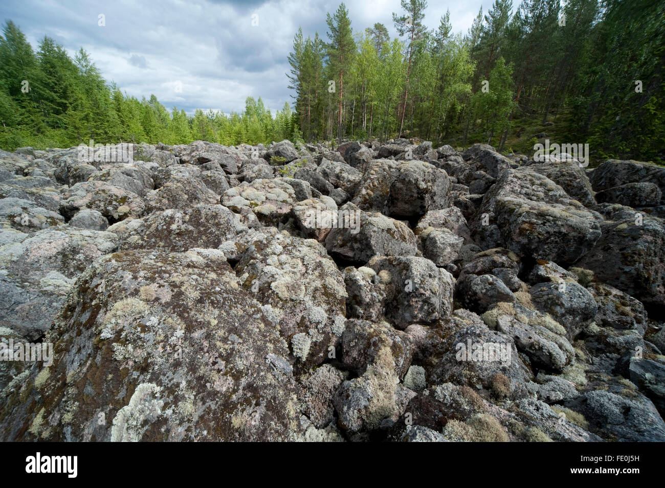 Ancient Glacial Geological Landslide, Finland Stock Photo