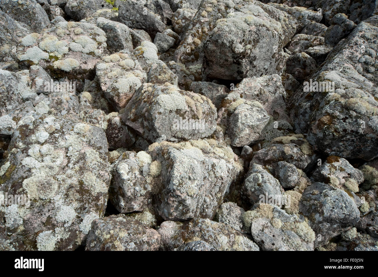 Ancient Glacial Geological Landslide, Finland Stock Photo