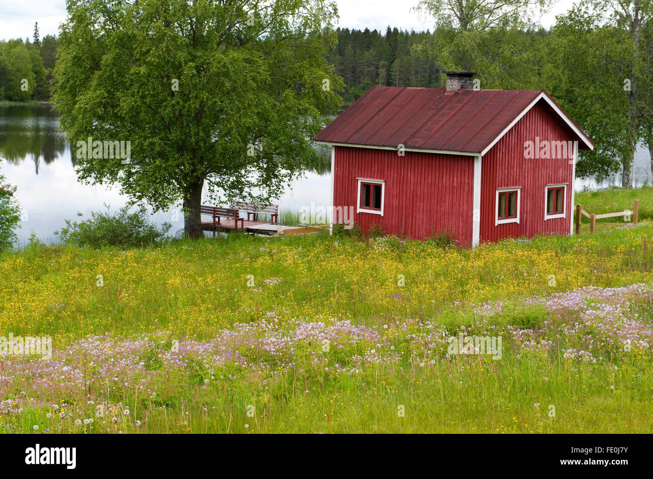 Wild Flower Meadow and building, Finland Stock Photo