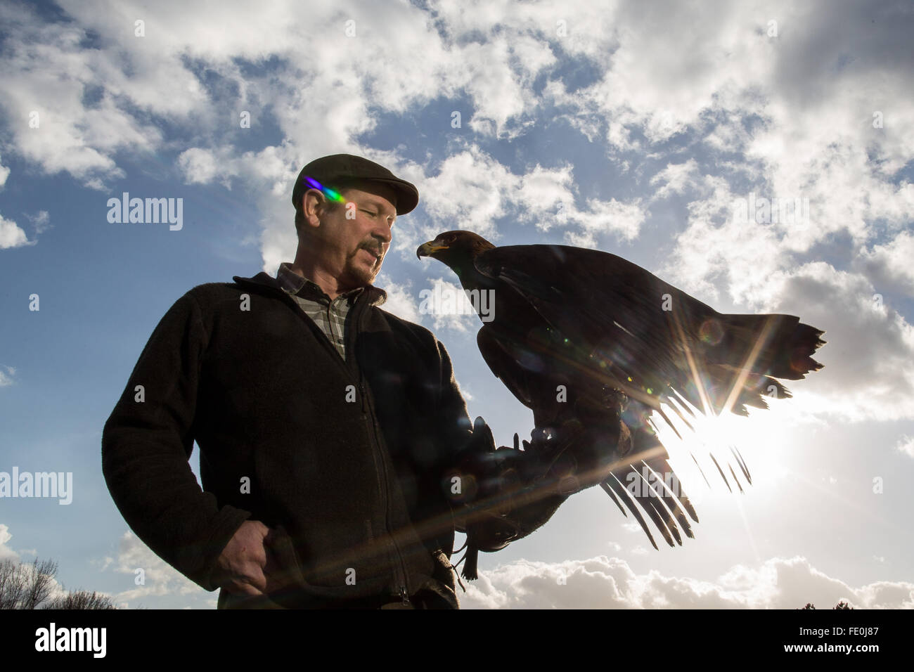 Dortmund, Germany. 3rd Feb, 2016. Falconer Frank Schaumann poses with his golden eagle Hector at a press event for the hunting and fishing double trade fair 'Jagd und Hund' and 'Fisch und Angel' in Dortmund, Germany, 3 February 2016. The trade fair runs from 09 February until 14 February 2016. PHOTO: MAJA HITIJ/DPA/Alamy Live News Stock Photo