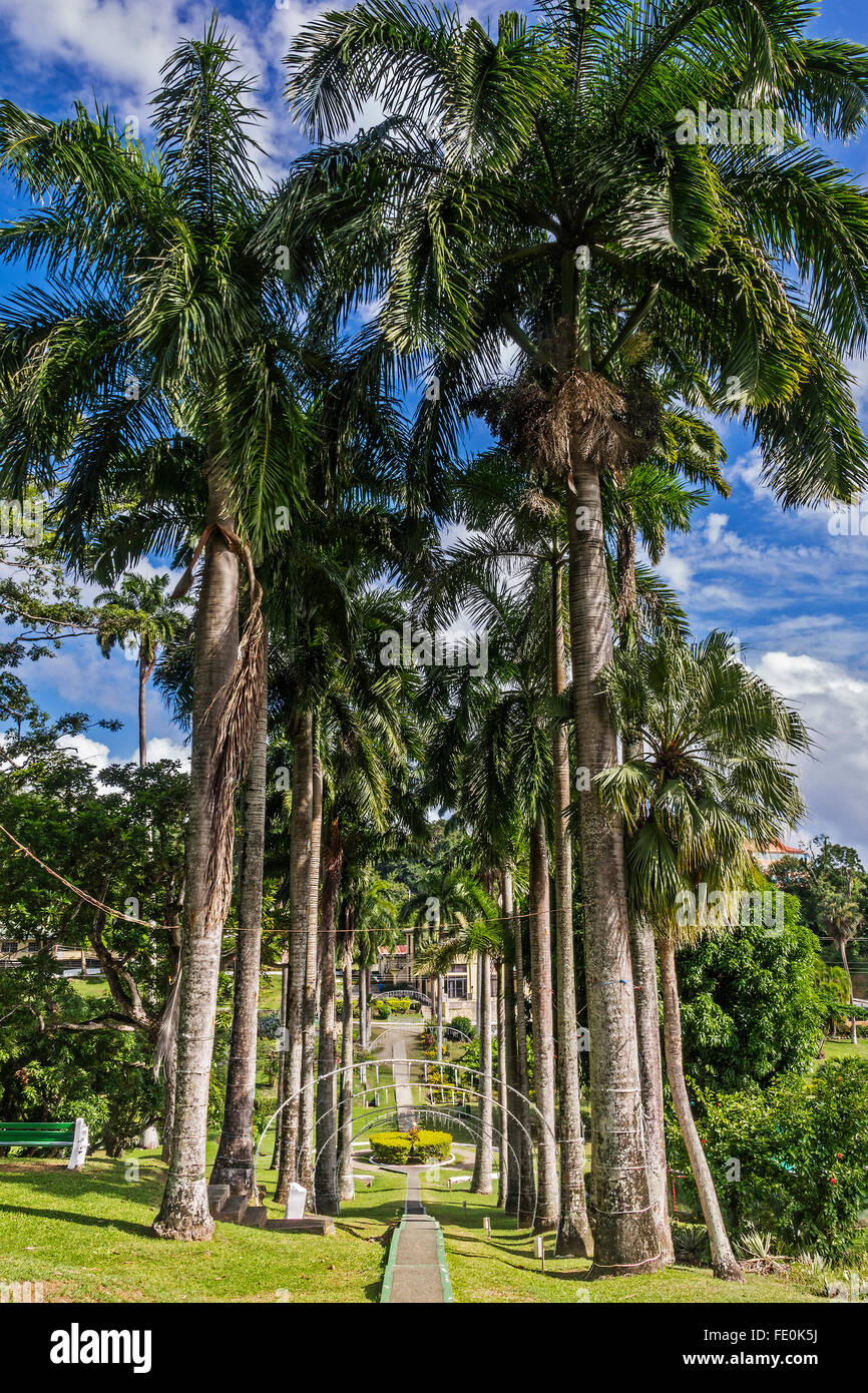 The Botanical Gardens  Scarborough Tobago West Indies Stock Photo