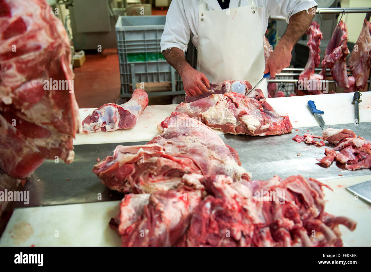 Unidentifiable male butcher surrounded by slabs of raw meat in food processing plant using knifes to slice Stock Photo