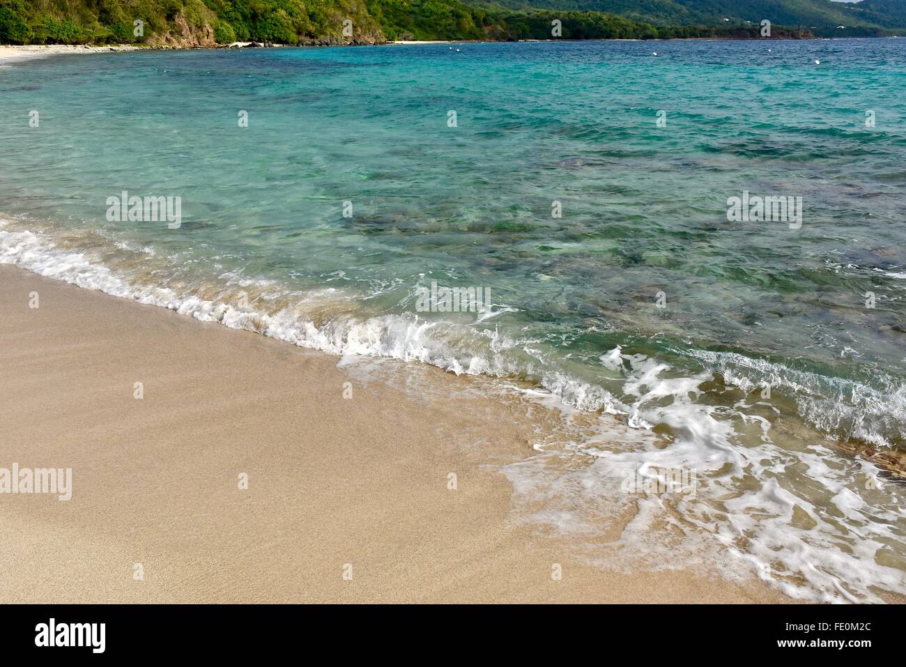Page 2 Culebra Puerto Rico High Resolution Stock Photography And Images Alamy Page 2 Culebra Puerto Rico High Resolution Stock Photography And Images Alamy