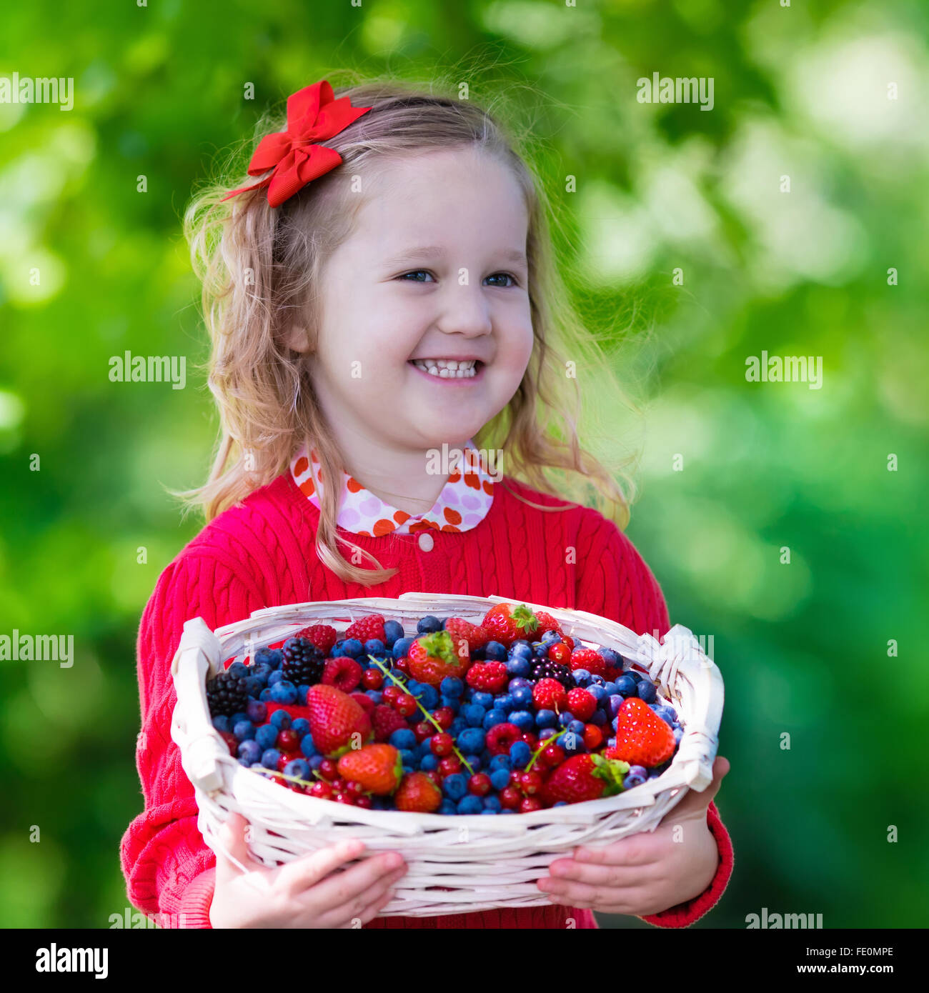 Child picking berries on a farm. Little girl eating strawberry