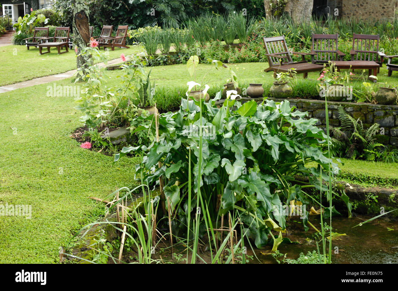 Gibbs Farm garden Stock Photo Alamy
