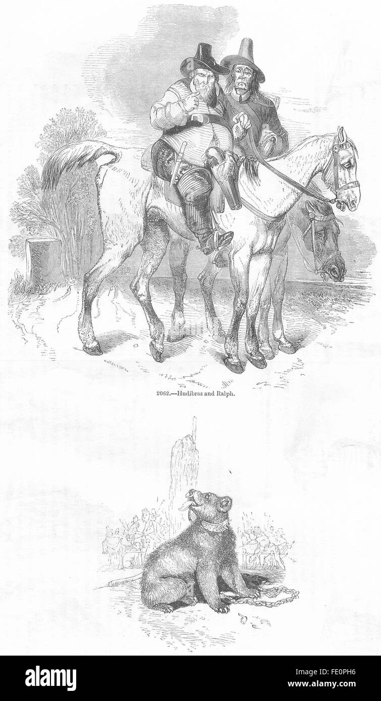 MILITARIA: Hudibras & Ralph; bear, stake, antique print 1845 Stock Photo