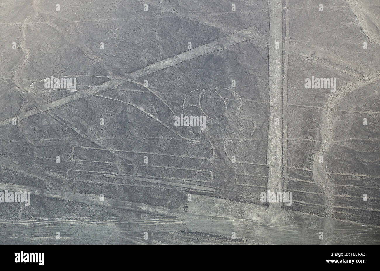 Aerial view of Nazca Lines - Parrot geoglyph, Peru. The Lines were designated as a UNESCO World Heritage Site in 1994. Stock Photo