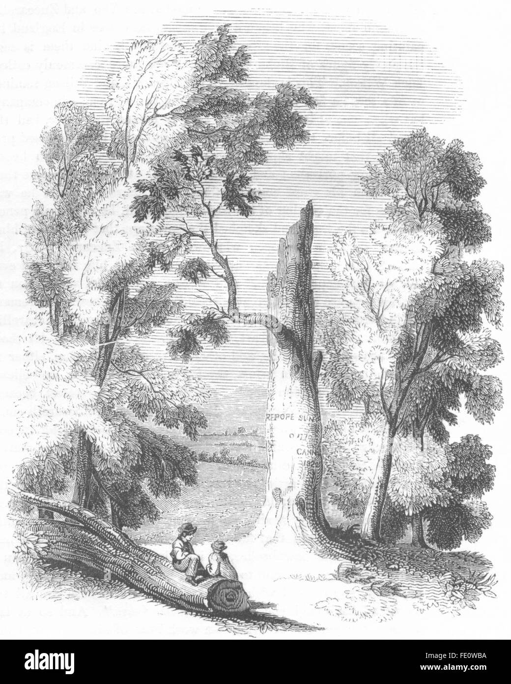 Binfield Black and White Stock Photos & Images Alamy