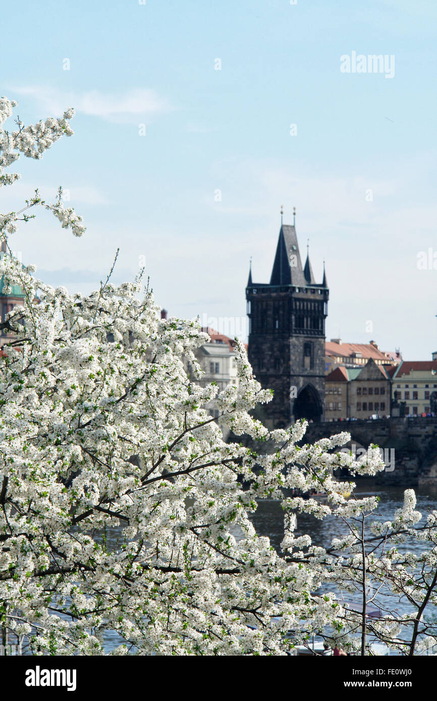 The famous Charles Bridge The Old Town Bridge Tower started in 1357 under the auspices of King Charles IV. Stock Photo
