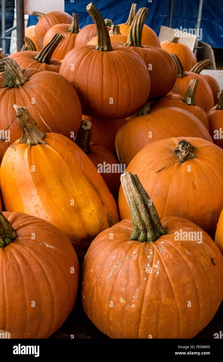 Pumpkins, Covered Market, Cambridge Stock Photo Alamy