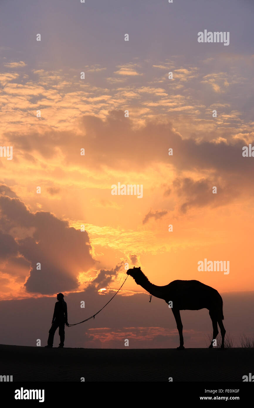 Silhouetted person with a camel at sunset, Thar desert near Jaisalmer, Rajasthan, India Stock Photo