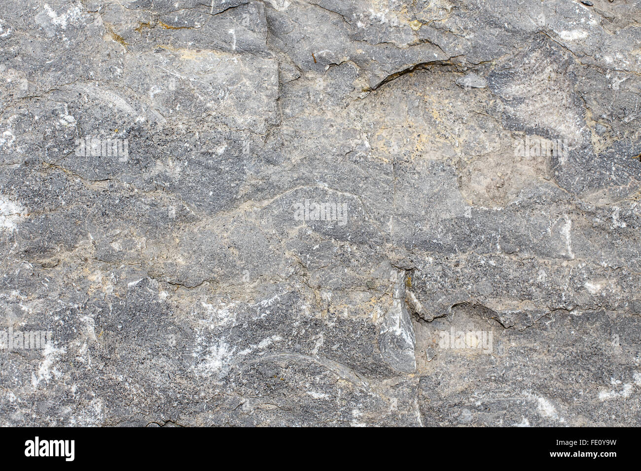 stone background texture close up Stock Photo - Alamy