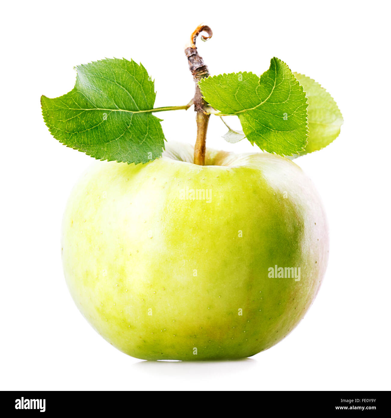 one apple green Isolated on white background Stock Photo - Alamy