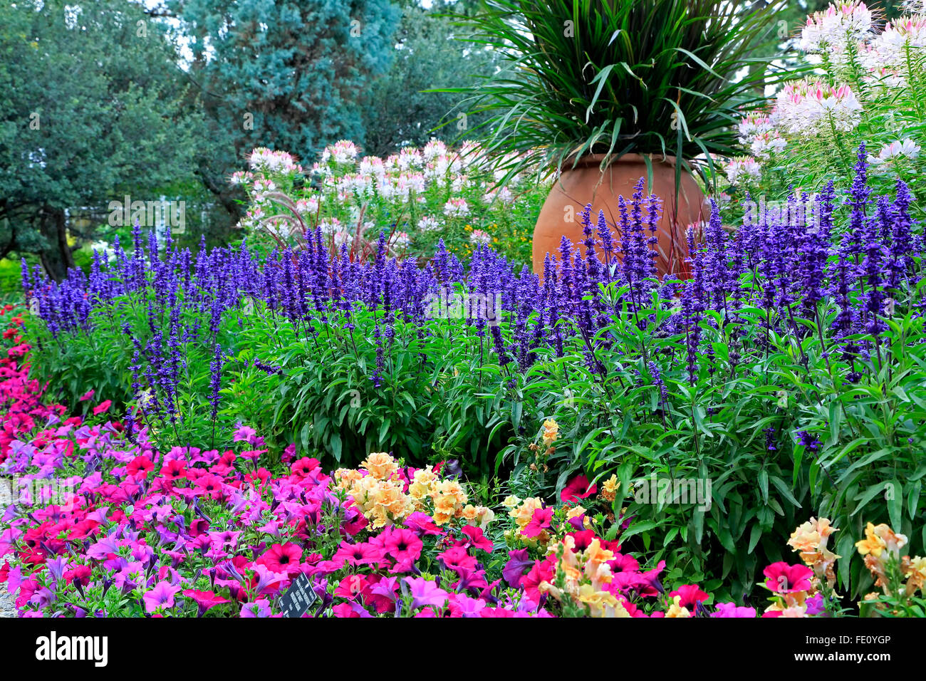 Flowers and ceramic pot, Denver Botanic Gardens, Denver, Colorado USA Stock Photo