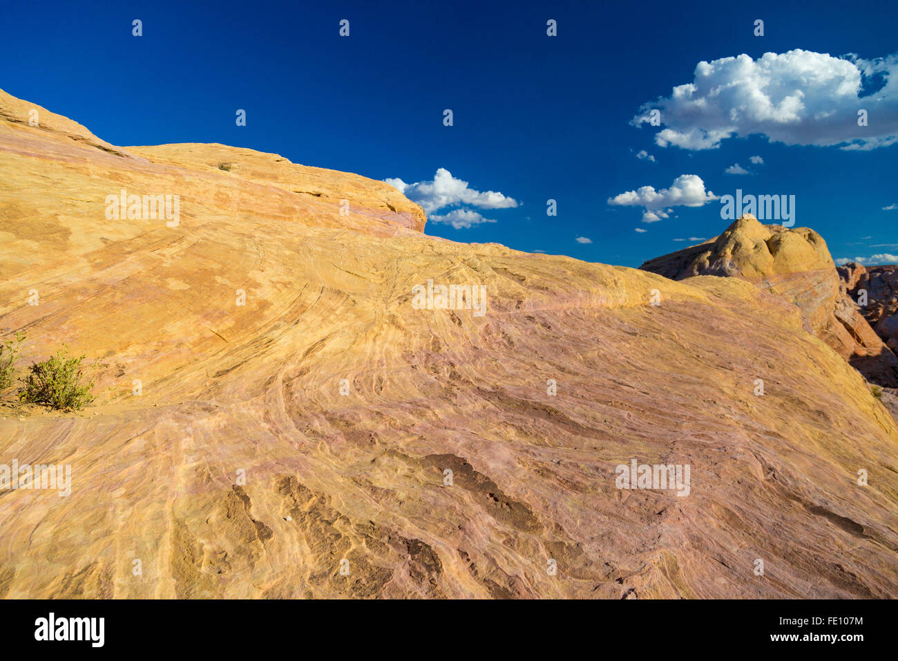 White Domes against deep blue sky in Valley of Fire State Park, Nevada Stock Photo