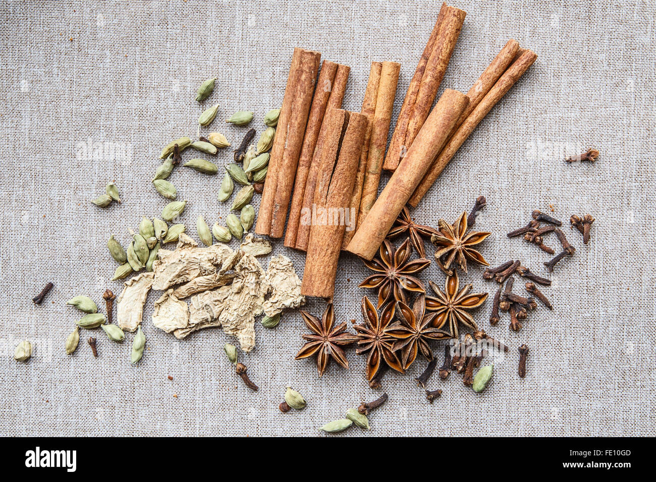 star anise Cardamom nutmeg cinnamon ginger clove spice canvas Stock