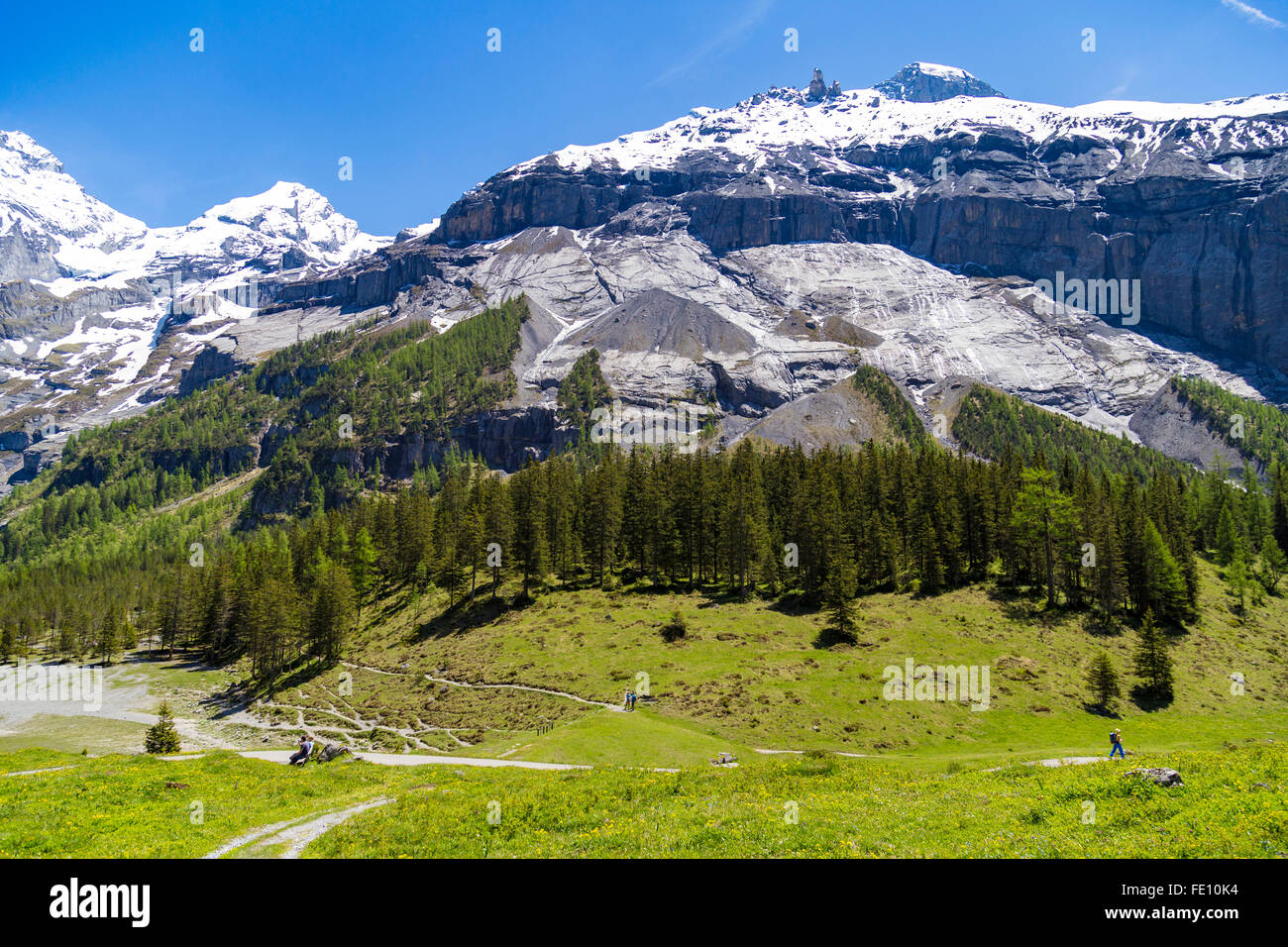 Swiss Alps and meadows near Oeschinensee (Oeschinen lake), Bernese Oberland, Switzerland Stock Photo