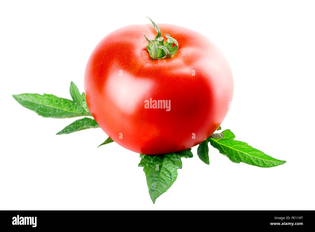 one red tomato with green leaf Isolated on white background Stock Photo ...