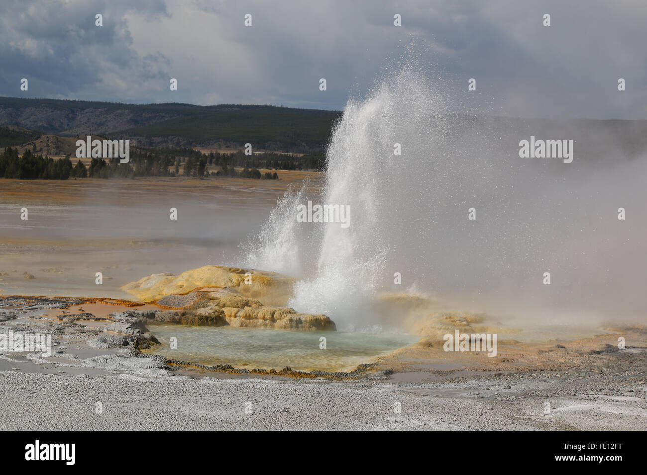 Double geyser erupting, Yellowstone National Park Stock Photo - Alamy