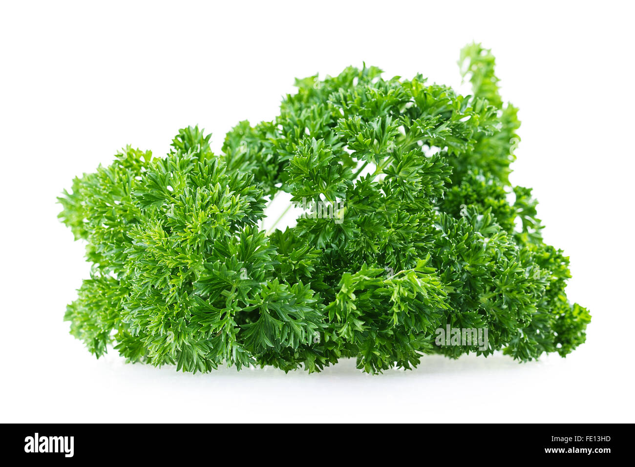 leaf parsley Isolated on white background Stock Photo - Alamy