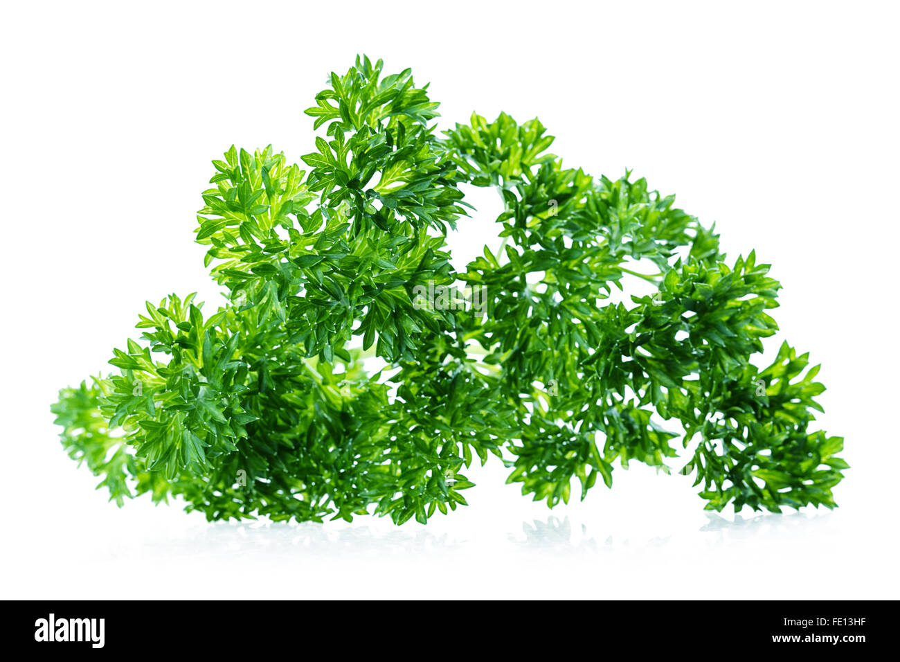 leaf parsley Isolated on white background Stock Photo - Alamy