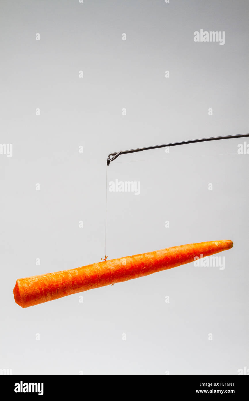 Carrot And Stick Business Stock Photos & Carrot And Stick Business