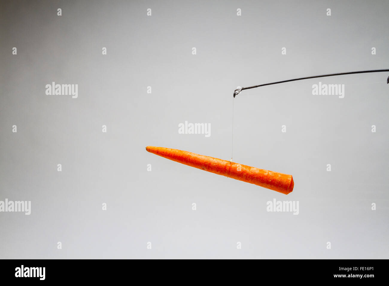 Fishing pole stick hi-res stock photography and images - Alamy