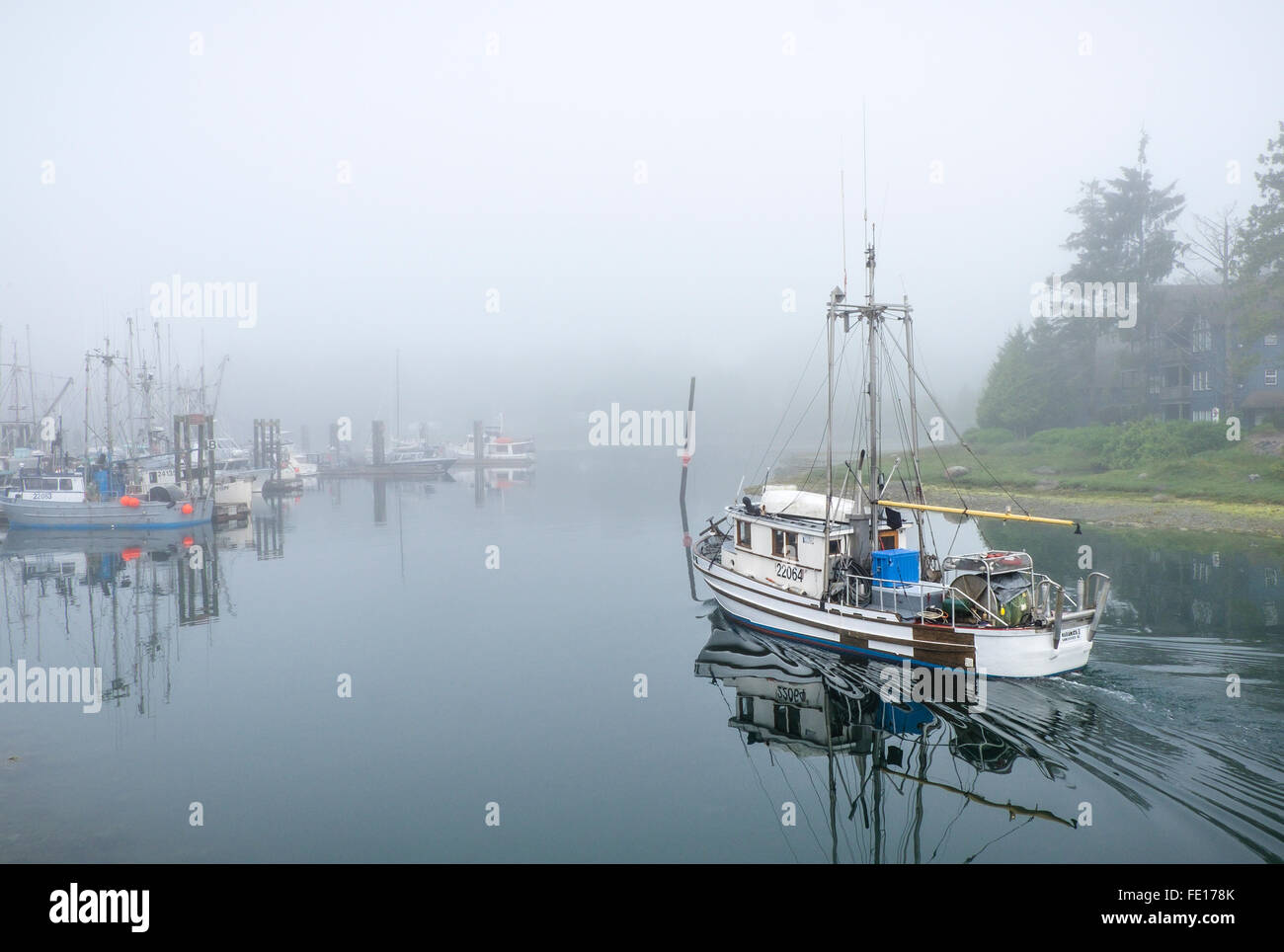 Ucluelet Harbor, British Columbia: Boats in the Small Boat Basin in fog. Vancouver Island, Canada Stock Photo