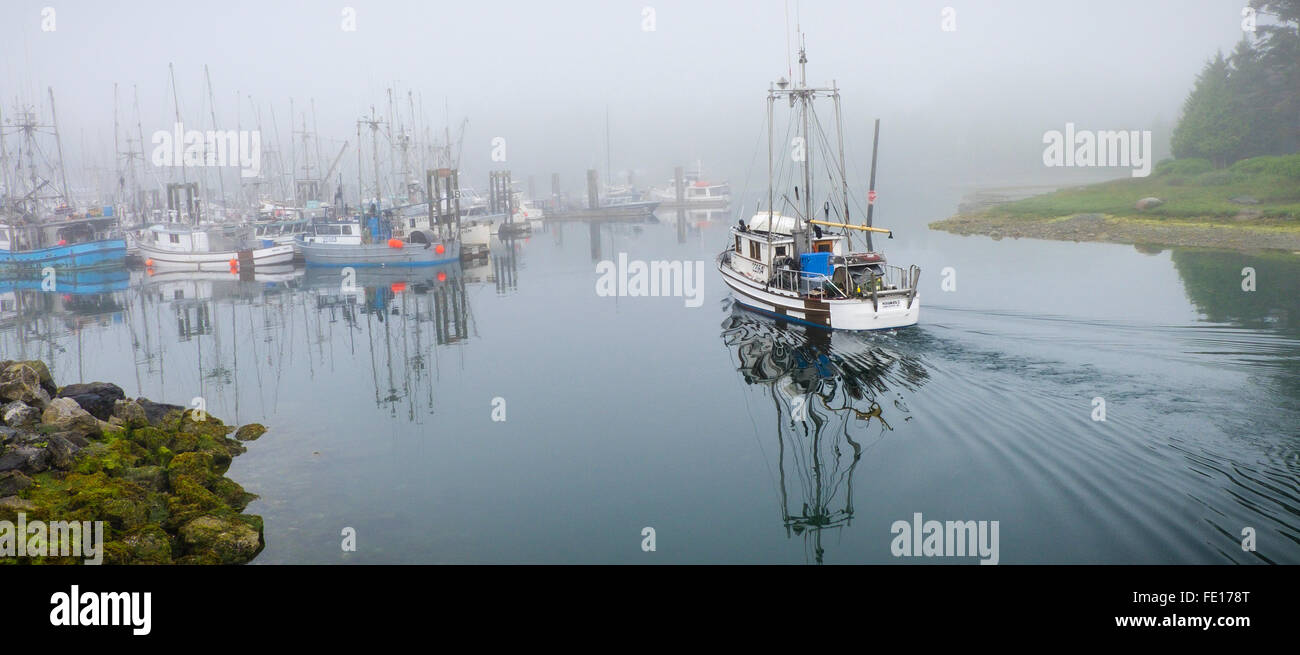 Ucluelet Harbor, British Columbia: Boats in the Small Boat Basin in fog. Vancouver Island, Canada Stock Photo