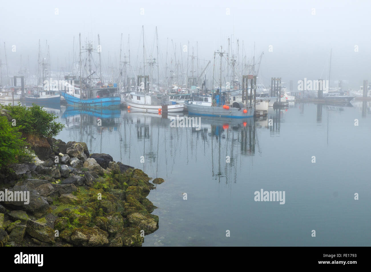 Ucluelet Harbor, British Columbia Boats in the Small Boat Basin in fog. Vancouver Island