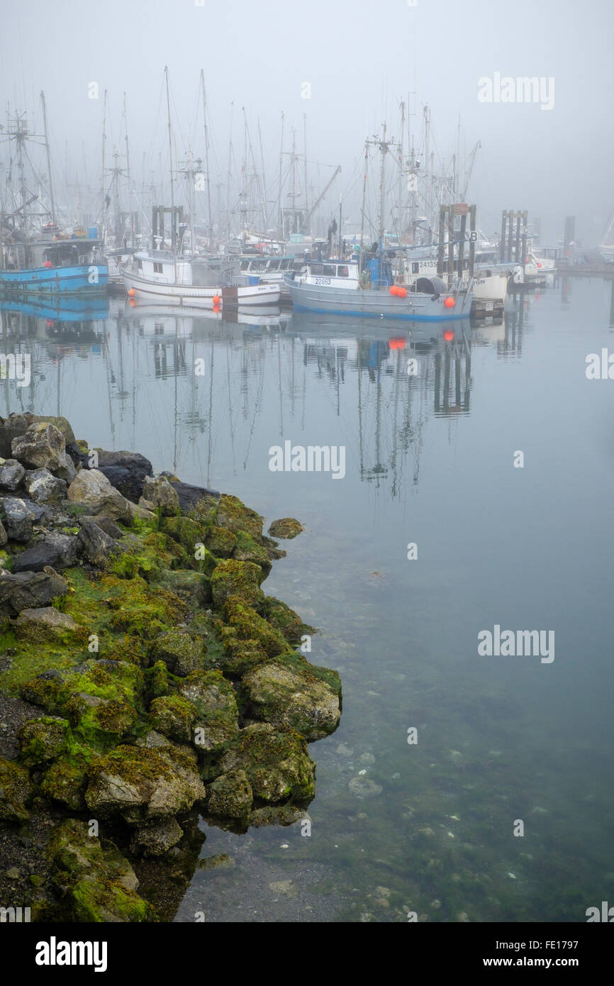 Ucluelet Harbor, British Columbia Boats in the Small Boat Basin in fog. Vancouver Island