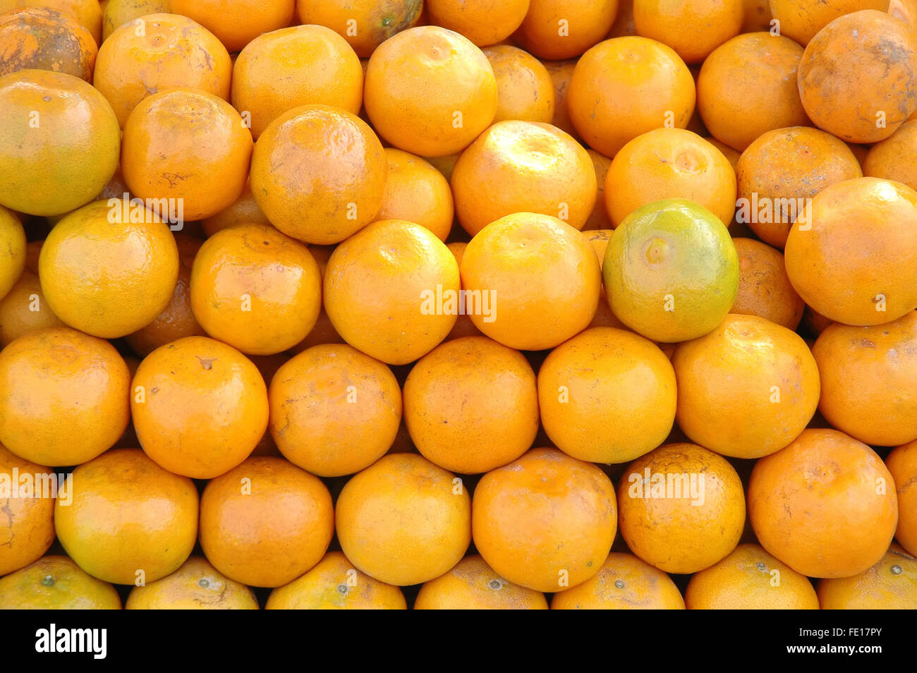 group of orange Stock Photo