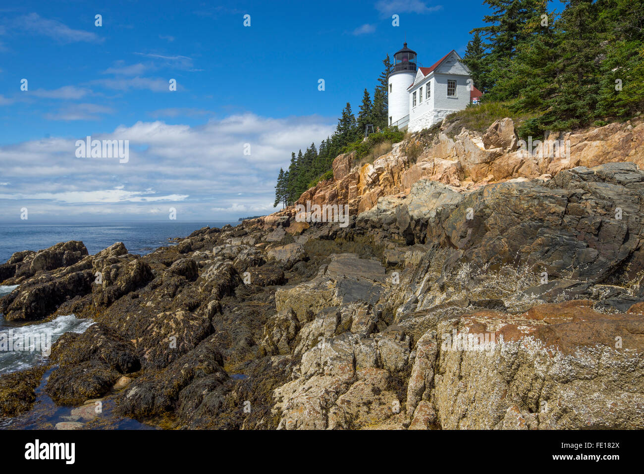 Acadia National Park, ME:  Bass Harbor Head Lighthouse (1858) - Mount Desert Island Stock Photo