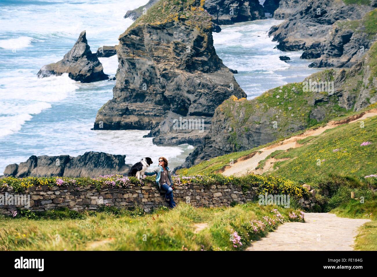 Sea stacks cliffs at Bedruthan Steps on the South West Coast Path near Newquay, Cornwall, England. Woman and border collie dog Stock Photo