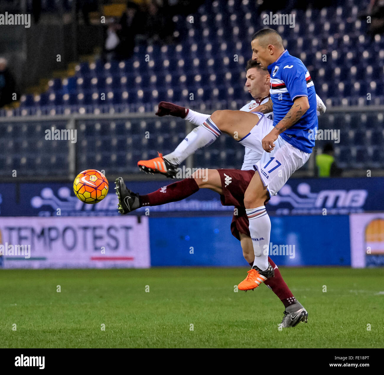 Genova, Italy. 03rd Feb, 2016. Angelo Palombo and Daniele Baselli fight for the ball during the Serie A football match between UC Sampdoria and Torino FC. The match ends with final result of 2-2. Luis Muriel and Roberto Soriano are the scorers of UC Sampdoria while Andrea Belotti scores twice for Torino FC. © Nicolò Campo/Pacific Press/Alamy Live News Stock Photo