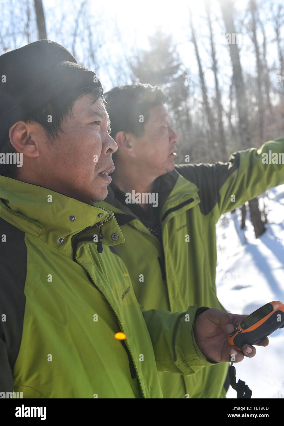 Hunchun, China's Jilin Province. 3rd Feb, 2016. Rangers check the route by navigator in the forest of the Hunchun National Siberian Tiger Nature Reserve, northeast China's Jilin Province, Feb. 3, 2016. Siberian tigers were among the world's most endangered species. At least 27 wild Siberian tigers and 42 Amur leopards were living in the east part of northeast China's Jilin Province © Xu Chang/Xinhua/Alamy Live News Stock Photo