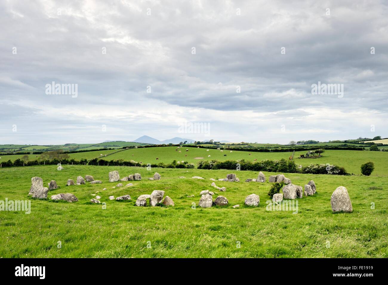 Ballynoe prehistoric Stone Circle. Downpatrick, Northern Ireland. Neolithic to Bronze Age. Aligned to Mourne Mountains behind Stock Photo