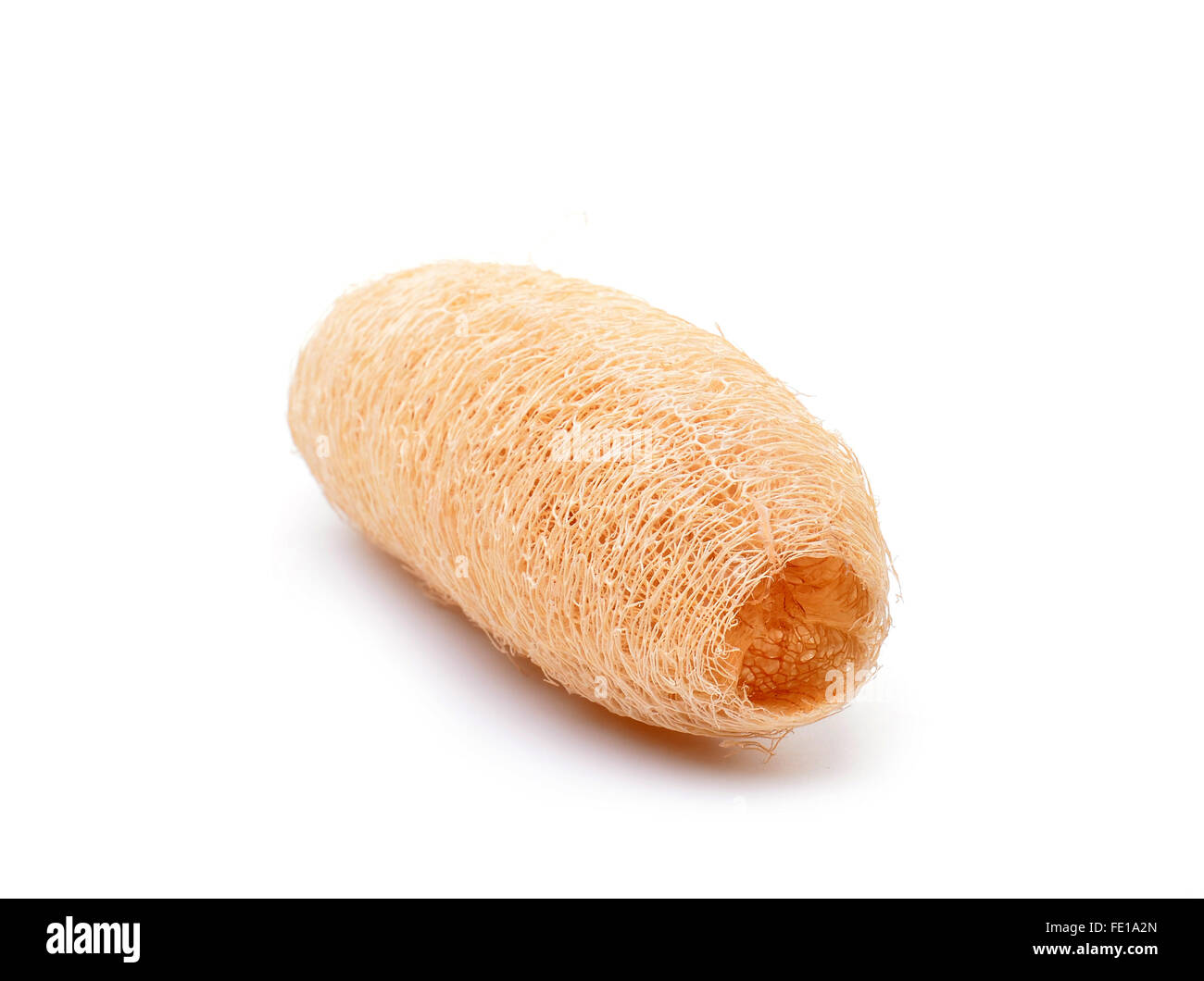 loofah isolated on white background Stock Photo