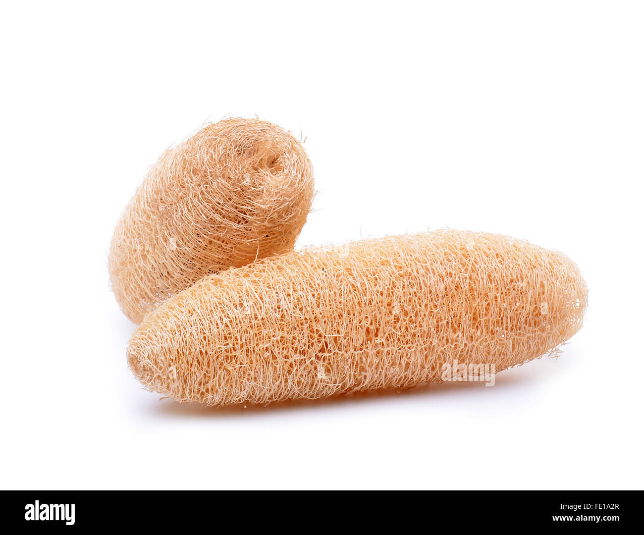 loofah isolated on white background Stock Photo