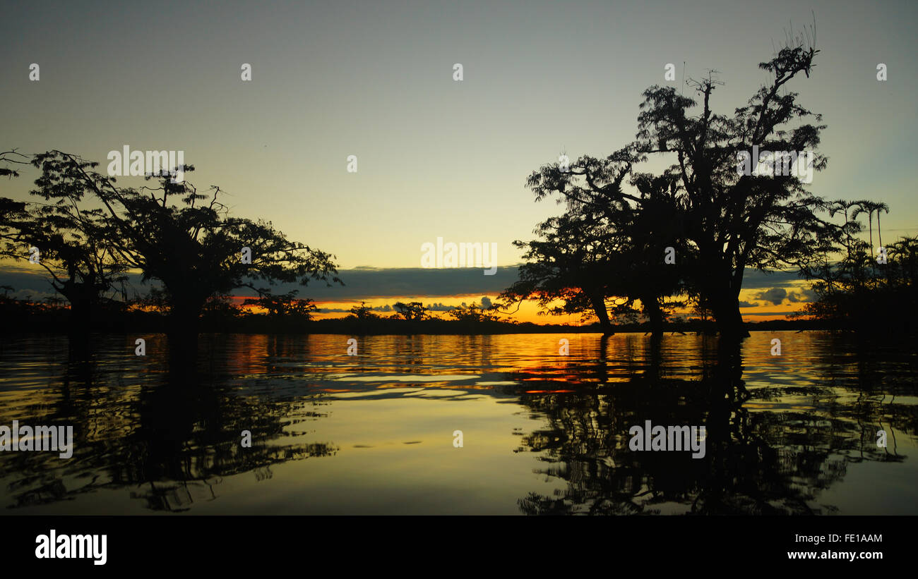 Panoramic sunset view in the Cuyabeno lagoon in the Ecuadorian Amazon Stock Photo
